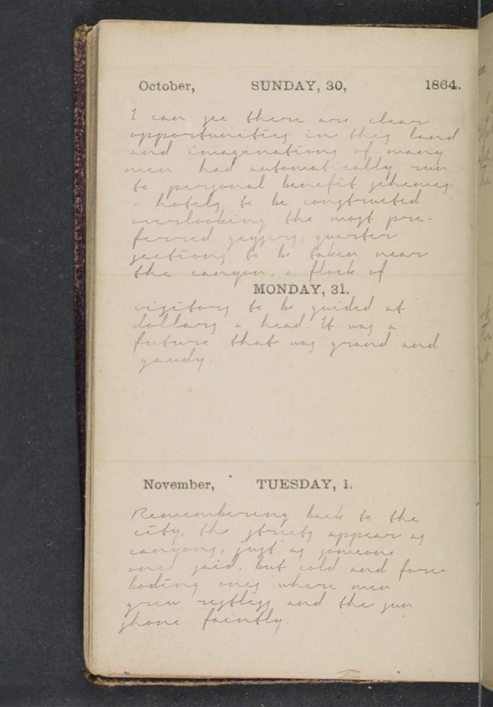 ~ Pocket Diary Owned by Arthur Morgan - 8 - November 1864.jpg